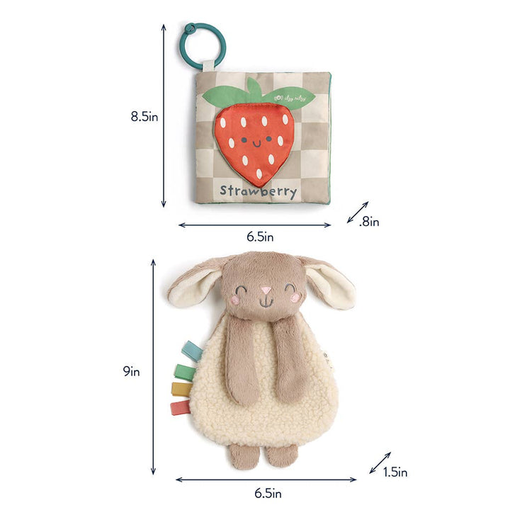 Itzy Ritzy - *NEW* Itzy Learn &amp; Snuggle Gift Set
