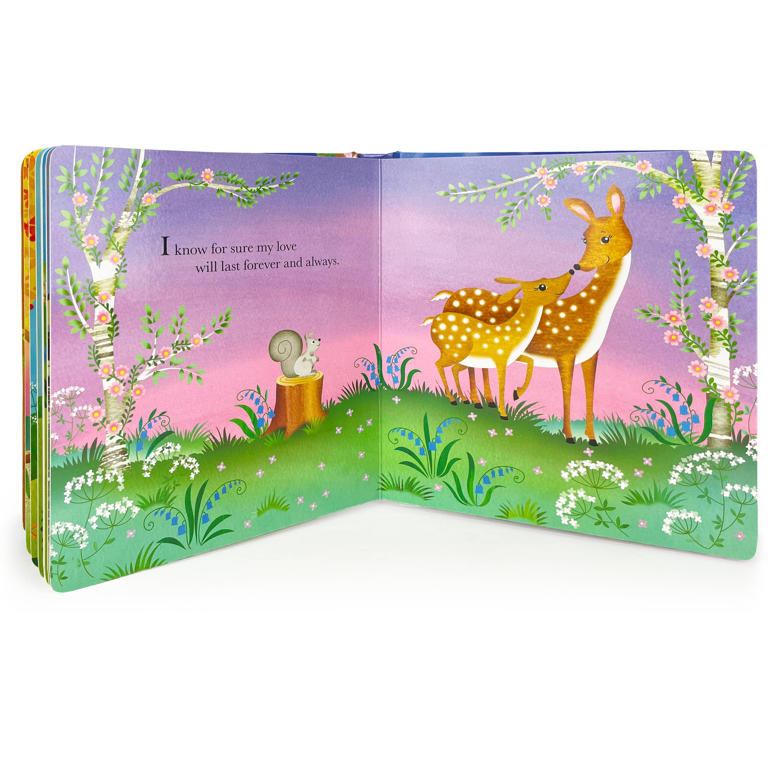 Cottage Door Press - Grandma Wishes Keepsake Padded Board Book