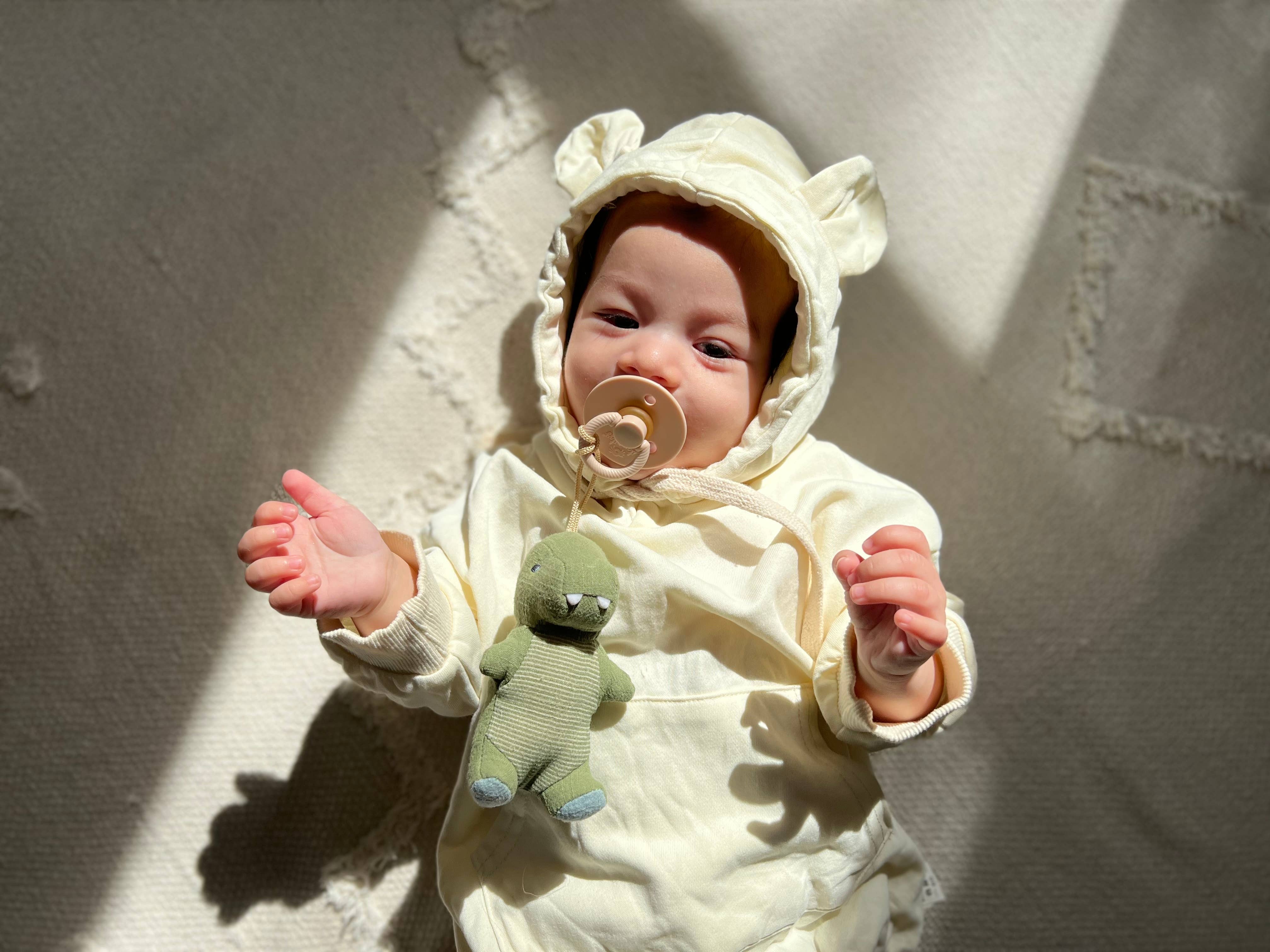 Itzy Ritzy - *NEW OPTIONS* Bitzy Pal Natural Rubber Pacifier & Plush