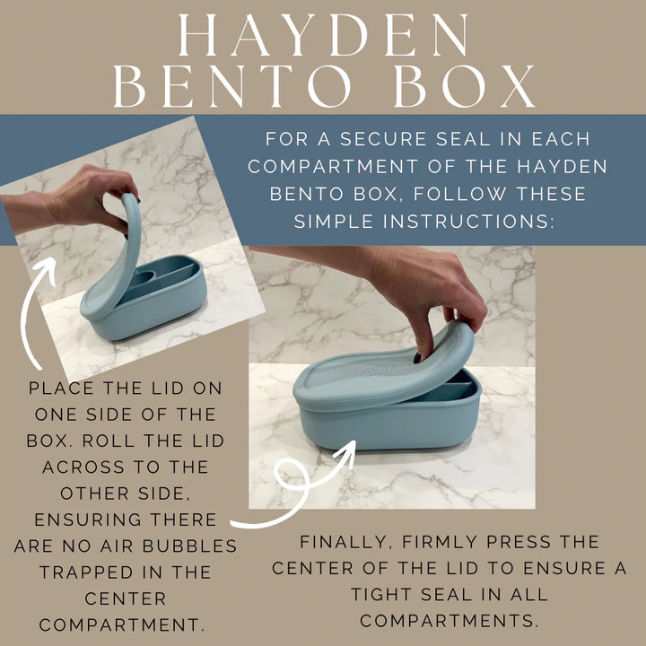 Hayden Bento Box - Trucks