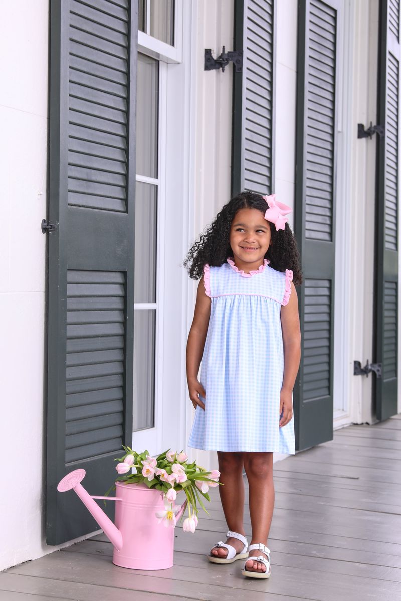 Trotter Street Kids - Meredith Dress - Light Blue Gingham/Light Pink