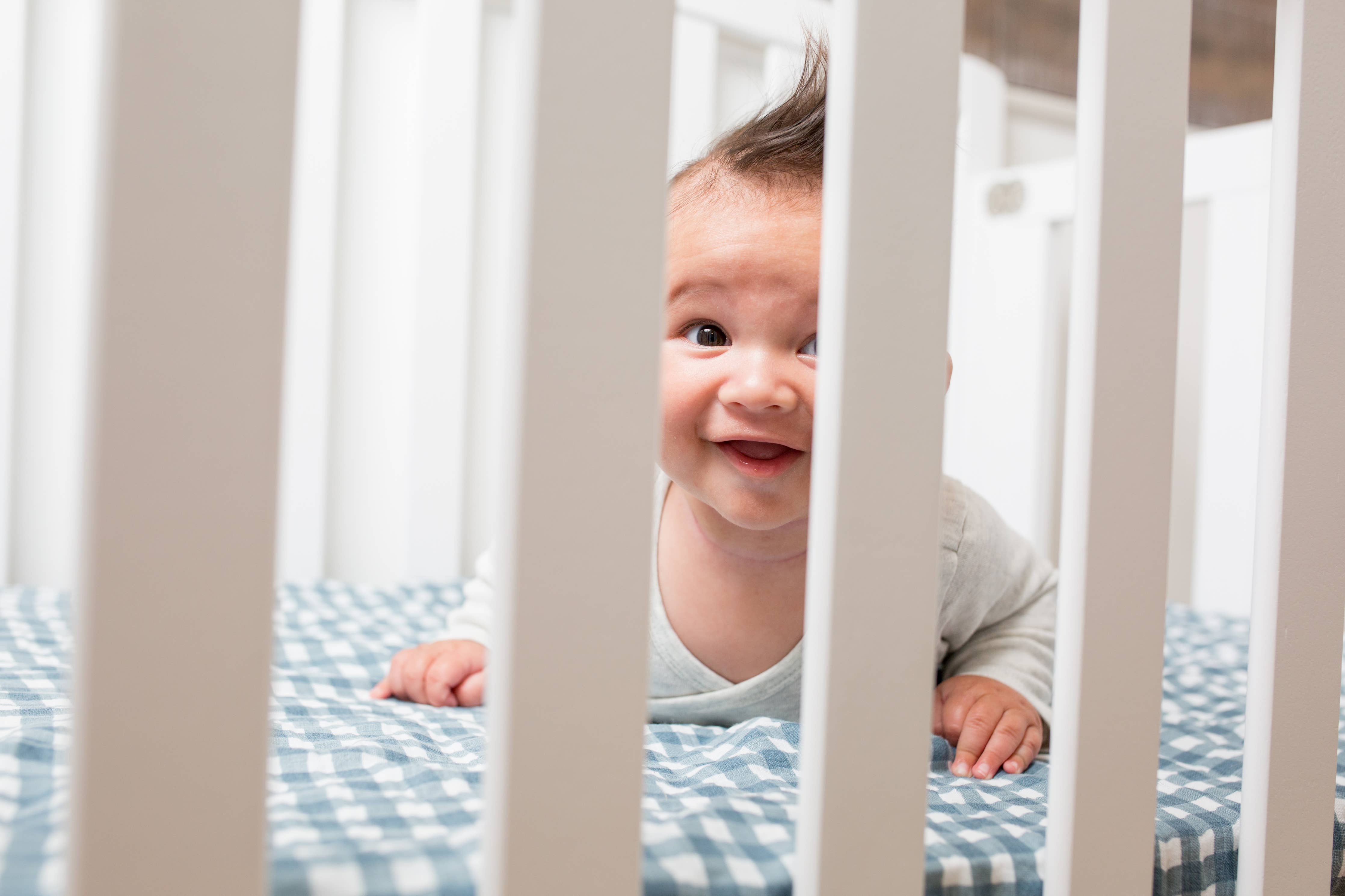 Cotton Crib Sheet - Navy Gingham