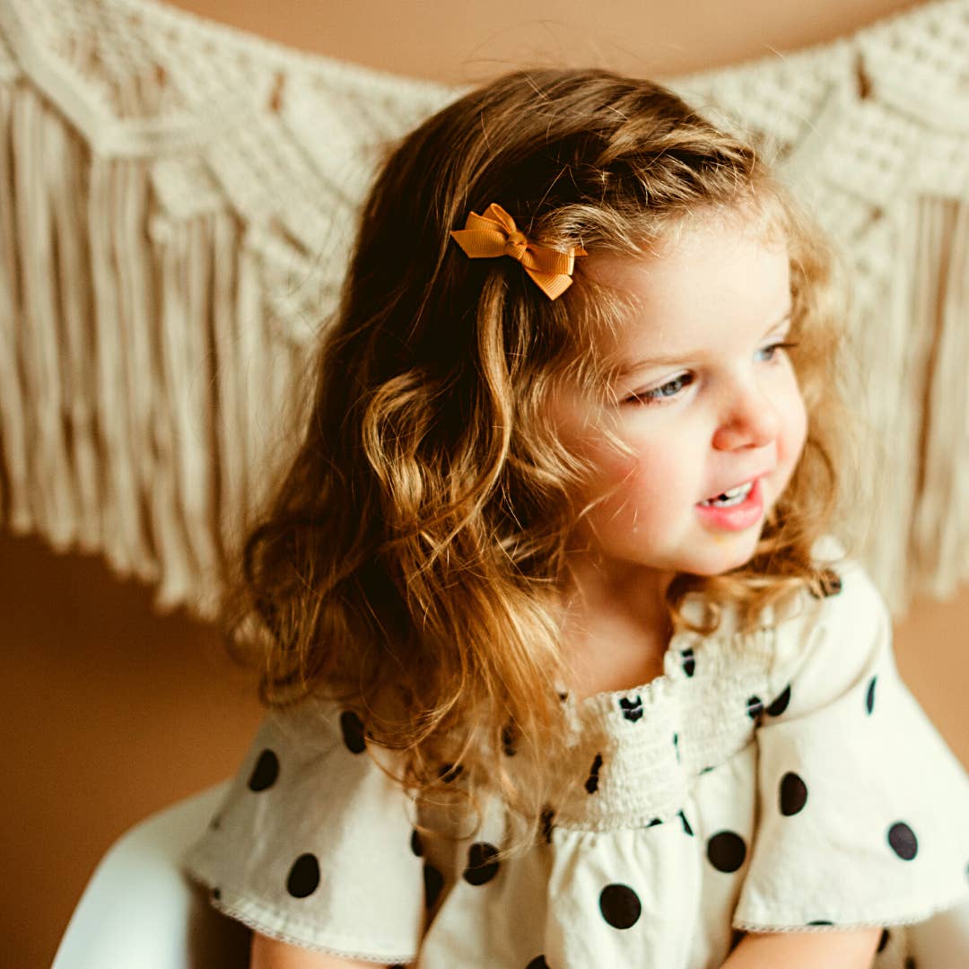 Baby Wisp - 5 Chelsea Boutique Grosgrain Bows on Snap Clips - Enchanted