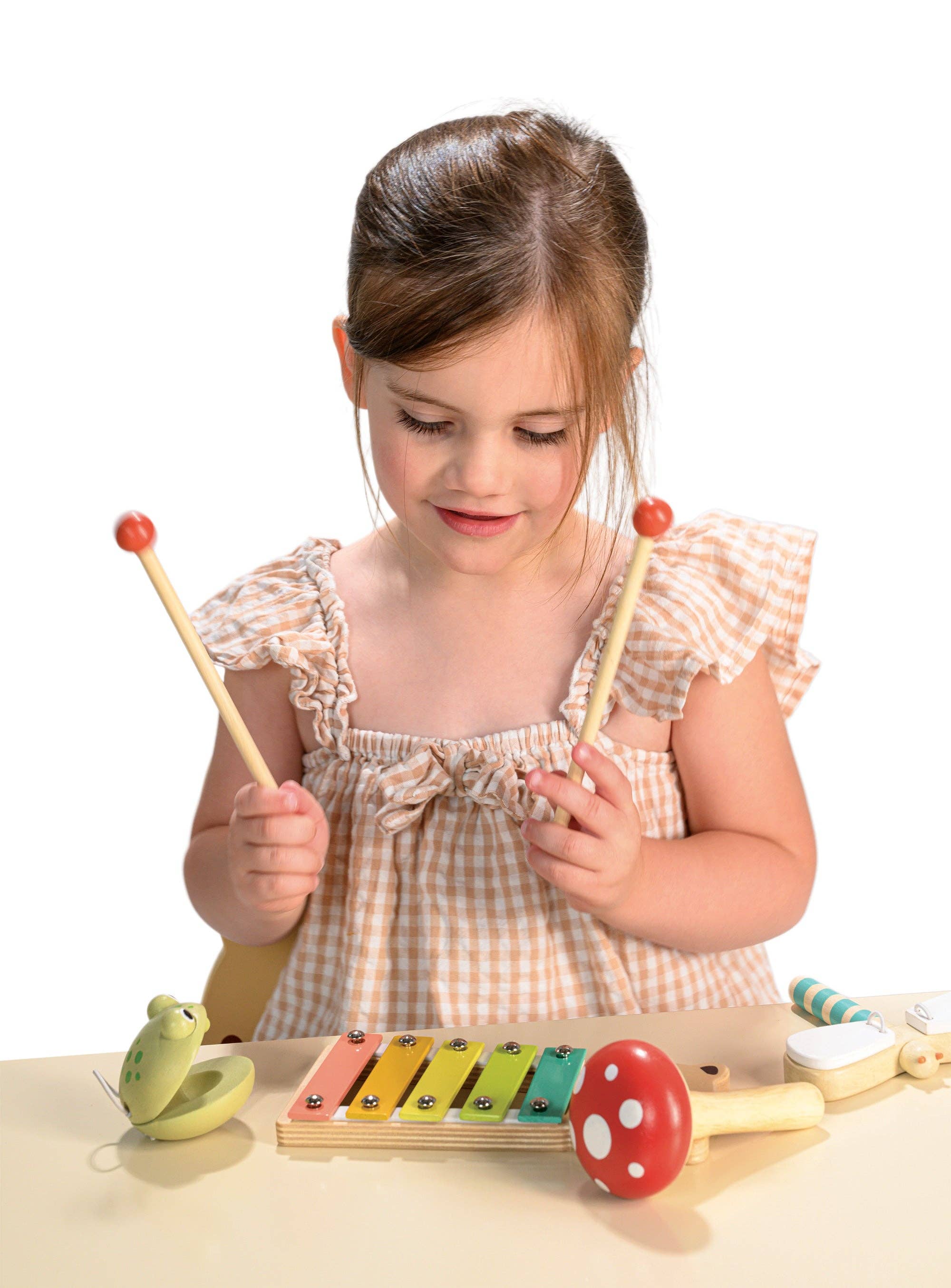 Mentari Toys - Woodland Music Set