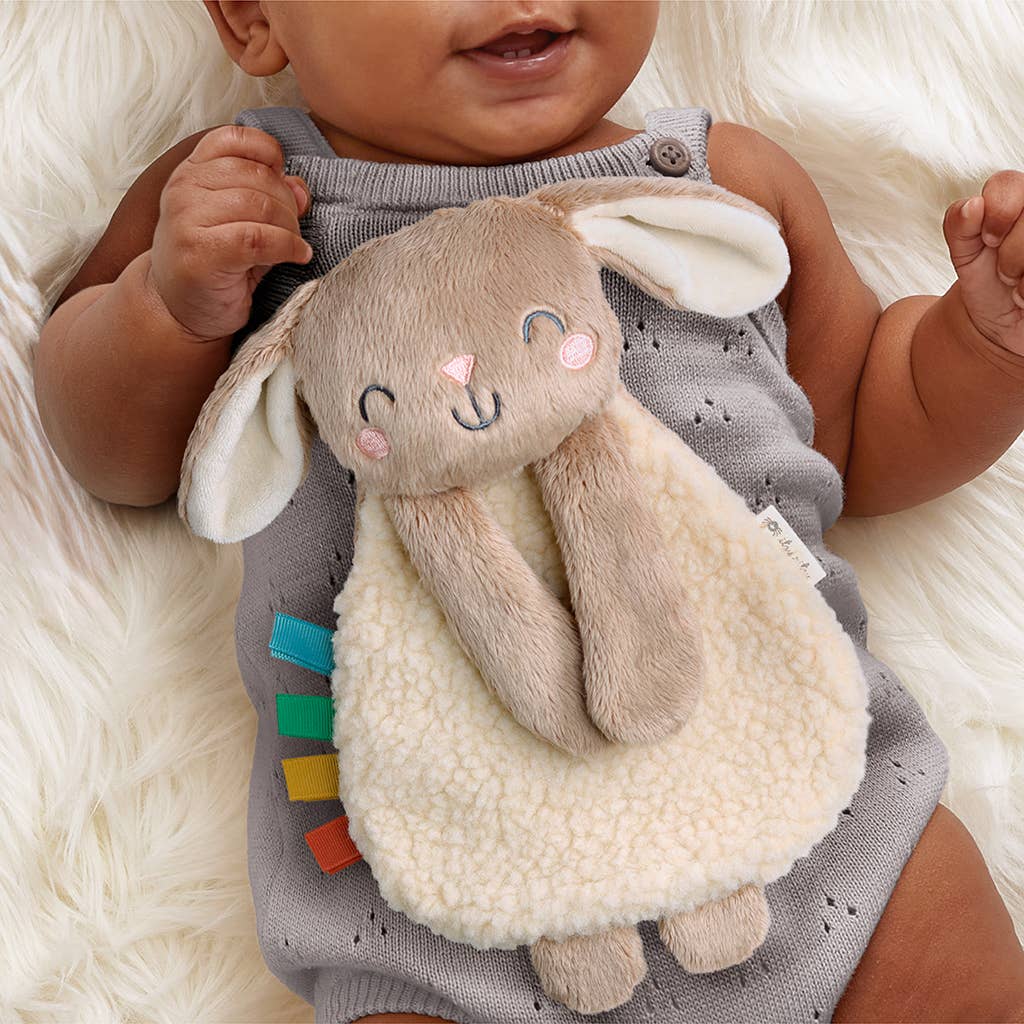 Itzy Ritzy - *NEW* Itzy Learn &amp; Snuggle Gift Set