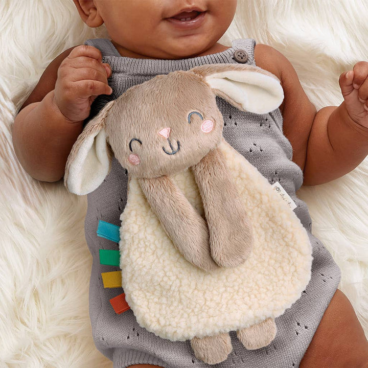 Itzy Ritzy - *NEW* Itzy Learn &amp; Snuggle Gift Set