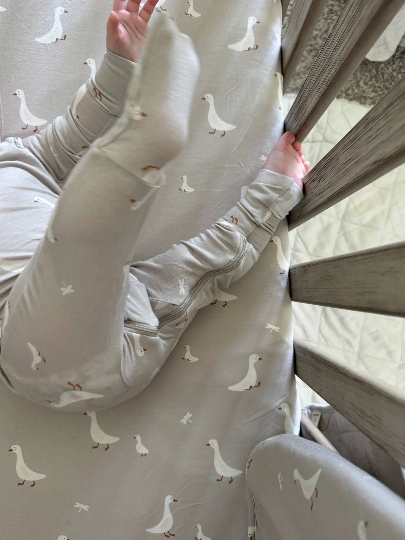 gunamuna - crib sheet - goose